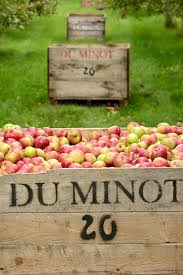 Cidrerie Du Minot Verger Monteregie Agrotourisme Gardemangerqc Apple Gourmand Fruit