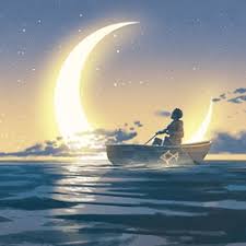 Image result for 241543903