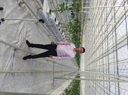 First Plants Arrive In New Ohio Greenhouse Naturefresh Farms