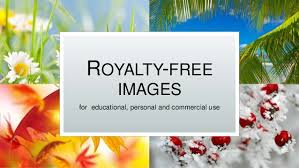 Free Images Pictures And Photos For Educational Commercial And Pers This is another popular website that let you download free stock photos for your personal or commercial use.