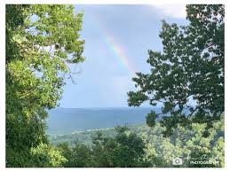 Genevieve Lewis Paulson