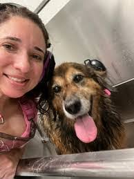 Brittany Gollihue's Instagram, Twitter & Facebook