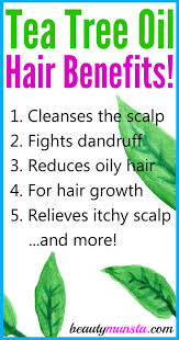 Tea tree oils come in many. 9 Amazing Tea Tree Oil Benefits For Hair Beautymunsta Free Natural Beauty Hacks And More