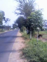 Industri, pabrik, pemukiman, ruko, hingga lahan. Jual Lahan Jawa Timur Jualsewatanah Com
