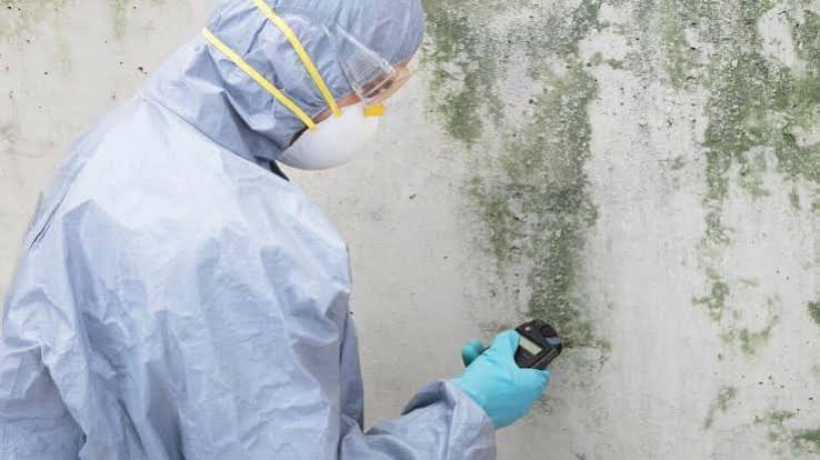 Mould Testing – Occuhealth