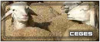 أكل الحلوى ورؤيتها يختلف في تأويله في المنام، ولا بد وأن يكون الحلم ليس مُجرد تفكير يأتي من العقل الباطن وإنما لا بد وأن يكون رؤية في أوقاتها المحدودة، وتختلف الرؤيا حسب صاحبها وأحواله وكيف كان الحلم سواء رؤية فقط أو أكل أو غيرها. ØªÙØ³ÙŠØ± Ø±Ø¤ÙŠØ© Ø­Ù„Ù… Ø§Ù„Ø®Ø±ÙˆÙ ÙÙŠ Ø§Ù„Ù…Ù†Ø§Ù… Ù„Ù„Ø¹Ø²Ø¨Ø§Ø¡