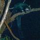 Greater Glider Night Walk in the Tallarook Forest event image