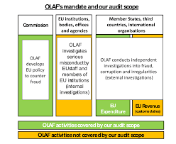 Special Report Fighting Fraud In Eu Spending Action Needed