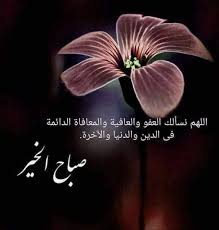 اللهــــــم إنــــــا نســـــألــــك أن تهـــبنـــــا مـــن فضل جــــودك السكينــــة فـــــي قلـــــوبنـ good morning arabic good morning images morning images
