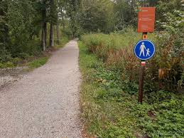 Geplaatst door verawandelt on 20 augustus 2017. Ns Wandeling Meijendel