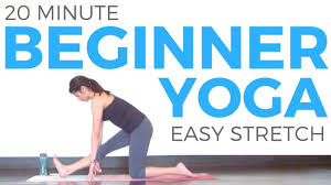 20 Minute Yoga For Beginners Easy Stretching Sarahbethyoga Youtube Yoga For Beginners Free Yoga Workouts Yoga Videos For Beginners