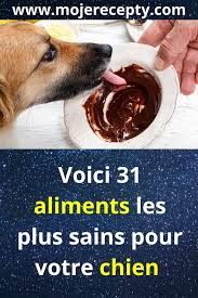 Voici 31 Aliments Les Plus Sains Pour Votre Chien En 2020 Nourriture Pour Chiens Faite Maison Nourriture Maison Pour Chien Alimentation Chien