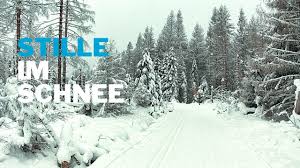 Doch ohne störung kann es sogar auf minus 40 grad abgekühlt werden, ohne fest zu werden. Friert Das Salzwasser Ein Experiment Zum Nachmachen Youtube