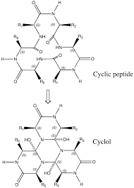 Pin By Gita Seti On Protein Structure Peace Symbol Peace Symbols