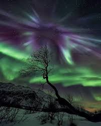 The Corona Is The Most Wonderful Of All Aurora Shapes Where A Multitude Of Rays Appea Northern Lights Norway Aurora Borealis Northern Lights Northern Lights