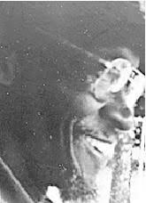 William Fulmore Obituary (2019)