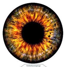 Lasik Eye Surgery Archives Popular Posts Eye Texture Glass Eyes Doll Eyes