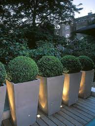 Best Unexpected Plants You Can Grow In Containers The Garden Glove Outdoor Planters Outdoor Gardens Boxwood Landscaping