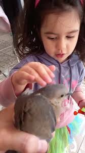 Vídeos de Johny.perez.vidal (@johnyperezvidal) con «sonido original