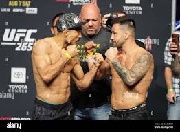 Aldo houston discount