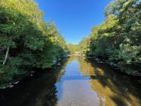 Spring Saunters: Hidden Valley Preserve