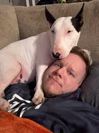 I can't get over how smart this dog is. This is after 3 days and “maybe” 1  hr total. He loves it.