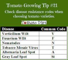 Understanding Disease Resistance Codes For Tomatoes
