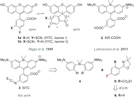 Maybe you would like to learn more about one of these? Silicon Rhodamine Isothiocyanate For Fluorescent Labelling Organic Biomolecular Chemistry Rsc Publishing