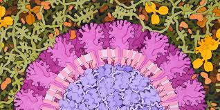 What S The Point Of Virus Taxonomy International Science Council