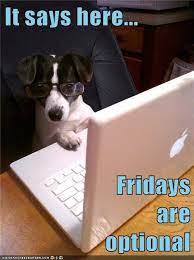 Identity Theft Resource Center Toll Free No Cost Assistance At 888 400 5530 Friday Dog Dog Quotes Funny Funny Dog Memes