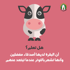 للقرة أ صدقاء مقربين character fictional characters movie posters