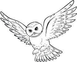 Coloriages A Imprimer Harry Potter Harry Potter Coloring Pages Harry Potter Colors Harry Potter Owl