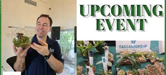 Image result for Microcoelia koehleri