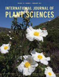 Image result for Lycium schizocalyx