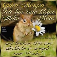 Guten Wochenstart Bild 26750 Bekommt Die Besten Bilder Fur Euer Gastebuch In Der Kategorie G Wochenstart Bilder Guten Wochenstart Lustige Guten Morgen Grusse