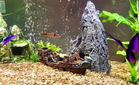 Contents 1 the complete guide on how to clean a betta fish tank 11 how to clean aquarium decorations with bleach the two most important things to cleaning a betta fish tank effectively are preparation and. Amazon Com Slocme Aquarium Pirate Ship Decorations Fish Tank Ornaments Resin Material Shipwreck Decorations Eco Friendly For Freshwater Saltwater Aquarium Sunken Ship Accessories Pet Supplies