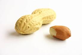 Tidak tahu diri, lupa akan asalnya. Kacang Lupa Kulit Satriadharma Com