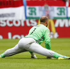 Aktuelle spieler in österreichs nationalteam. Em 2016 Ungarn Schlagt Osterreich Uberraschend 2 0 Welt