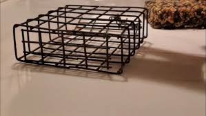 Family of Quails crossing the road in Leavenworth