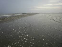 Check spelling or type a new query. Pantai Sederhana Muara Gembong Home Facebook