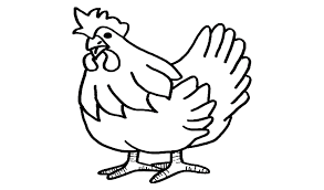 Gambar mewarnai ayam untuk anak paud dan tk. Aneka Mewarnai Gambar Hewan Ayam Jago Aneka Mewarnai Gambar