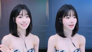 BJ 과즙세연, 방시혁 동행 의혹 해명…“우연한 만남 아냐”