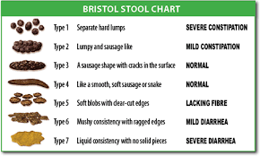 Who Is Actually Using The Bristol Scale In Their Pursuit Of