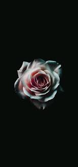 Super amoled amoled wallpaper oled amoled black notch neon dark punch hole minimal oneplus. Amoled Black Flowers Wallpapers Wallpaper Cave