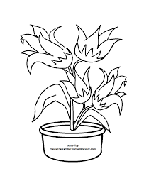 Karena dikhususkan untuk yang baru mulai belajar mewarnai jadi kita buatkan desain yang cukup sederhana yaitu satu tangkai bunga mawar dengan daun dalam pot. Contoh Gambar Mewarnai Bunga Terompet Kataucap