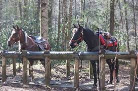 Smokemont Riding Stable Cherokee Nc Guided Horseback Trail Rides In The Smoky Mountains Near Cherokee And Riding Stables North Carolina Travel Camping Near Me