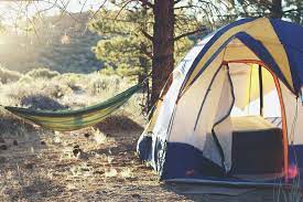 How To Find Free Dispersed Camping In National Forests