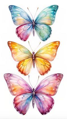 16 ideas de Mariposas | imagenes de mariposas bonitas, fotos de mariposas, mariposas bonitas