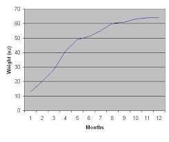 puppy weight chart puppy growth chart weight charts puppies