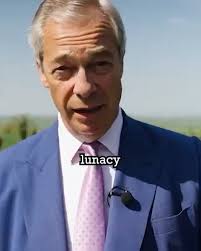 Why doesn't Farage like solar panels?